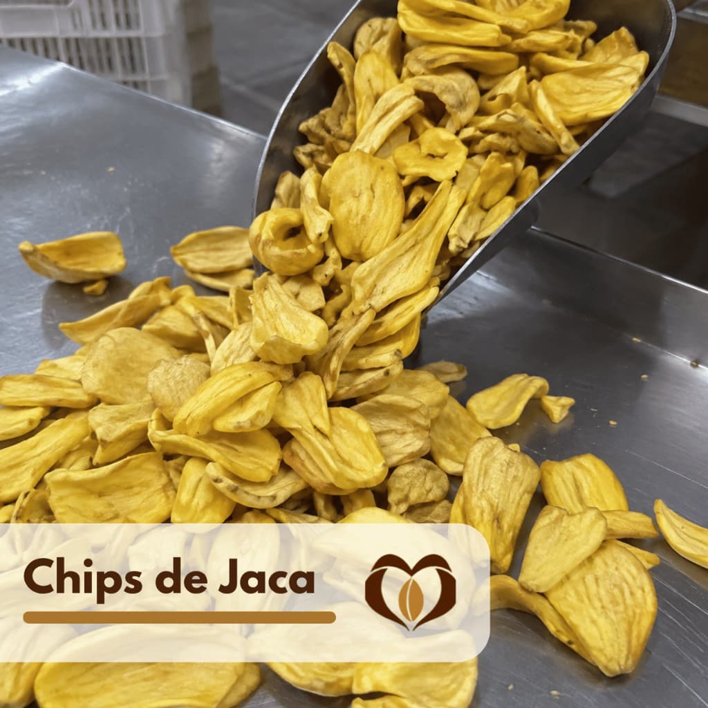 Jaca Chips Natural Snack Saudável Crocante 100g / 250g / 500g - Mãe dos Grãos