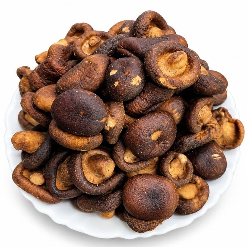 Cogumelo Shitake Liofilizado Chips Snack Saudável Atacado de 500g a 1 Kg Premium Gourmet