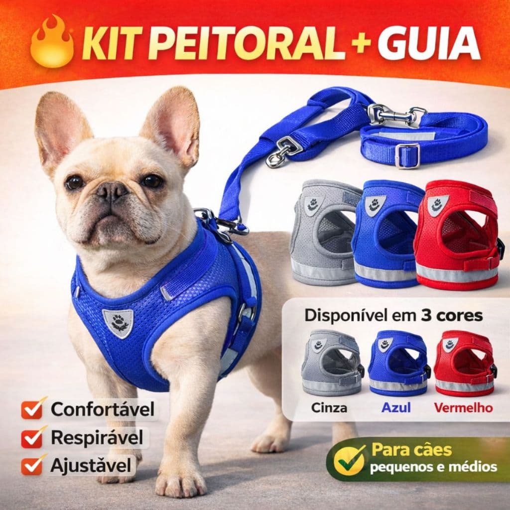 Coleira Peitoral Cachorro e Gato Conjunto Guia 1,20m + Coleira Tipo Colete Refletivo Para Pet