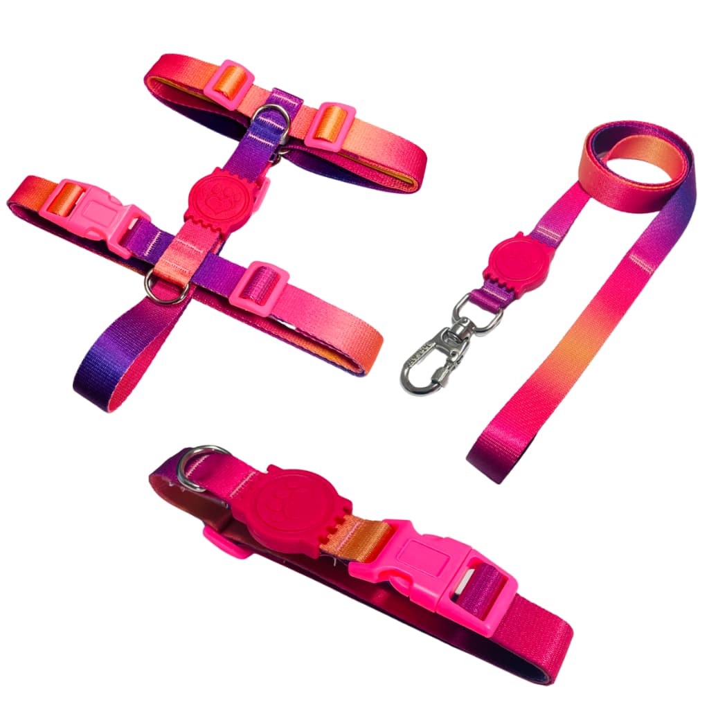 Kit Passeio Peitoral H Guia e Coleira Para Cachorros Cães Pets Roxo Laranja