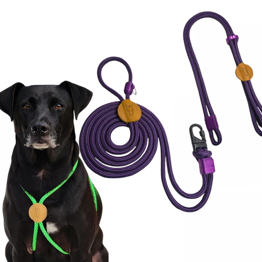 Coleira Para Cachorro Guia Peitoral Coleira Pet  Ajustável Anti Puxao