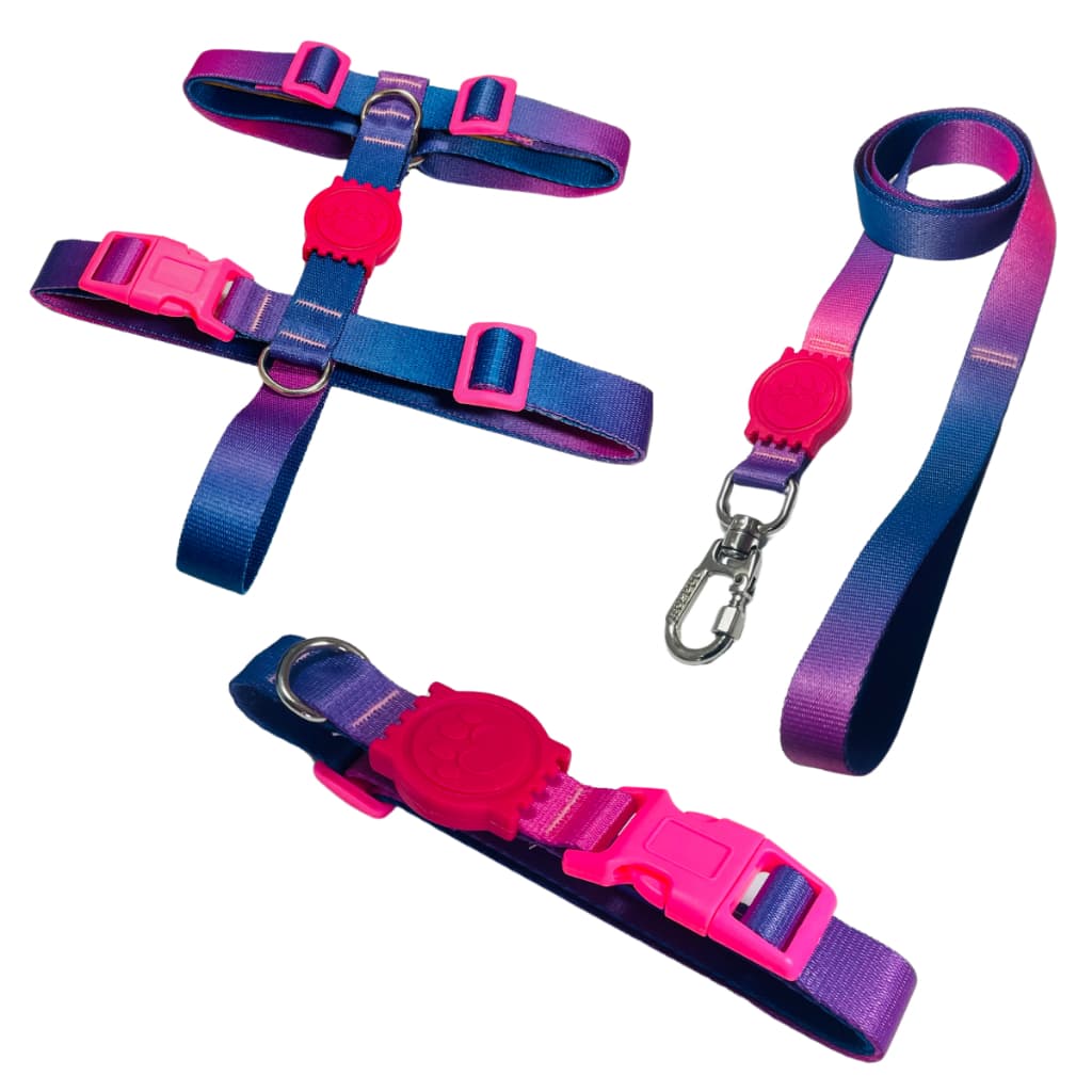 Kit Passeio Peitoral H Guia e Coleira Para Cachorros Cães Pets Roxo