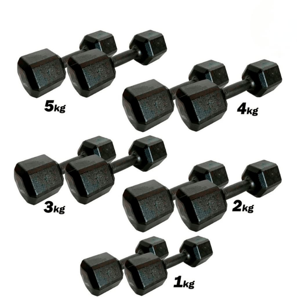 Kit Halter Sextavado 1 a 5kg Pintado - 10 Unidades One Life Sports® | Treino Musculação