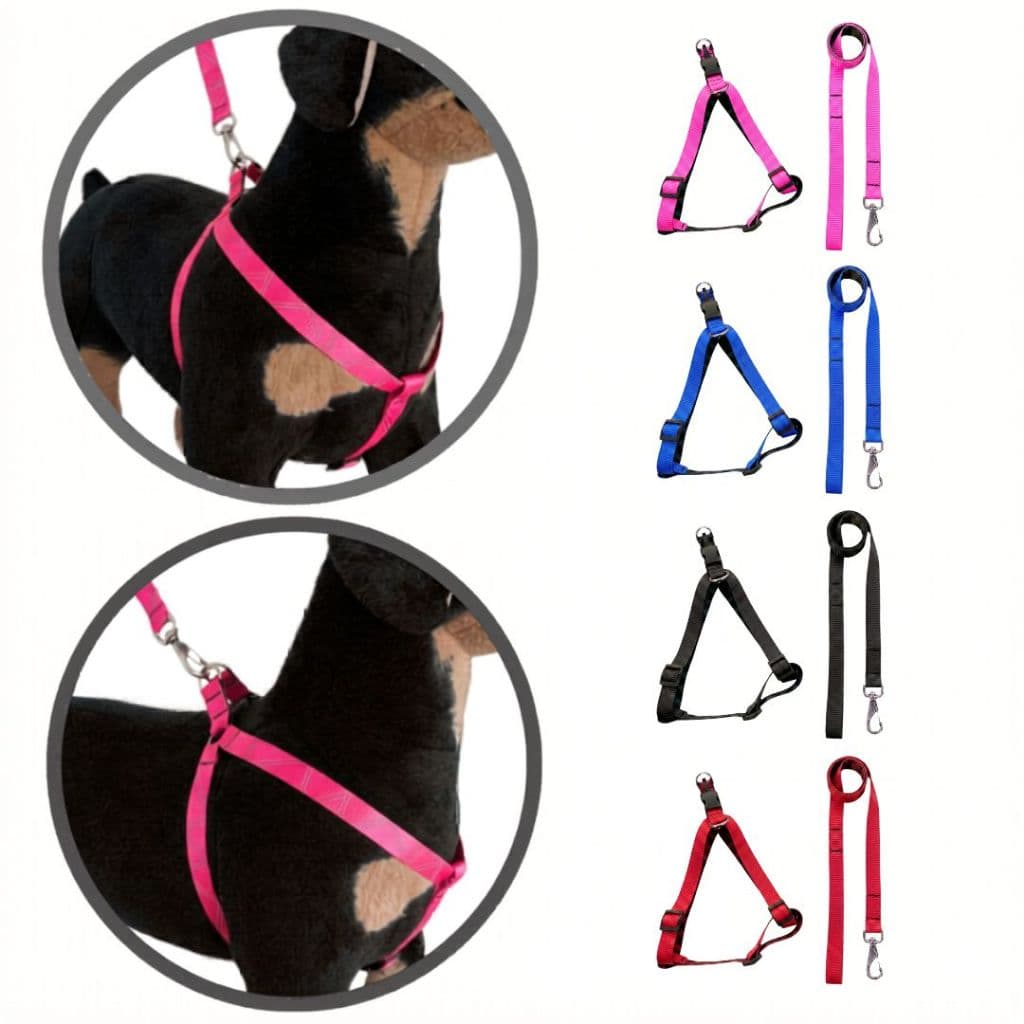 Coleira Peitoral Com Guia Conjunto Para Cães com Regulagem de Tamanho em Nylon - Cores Variadas