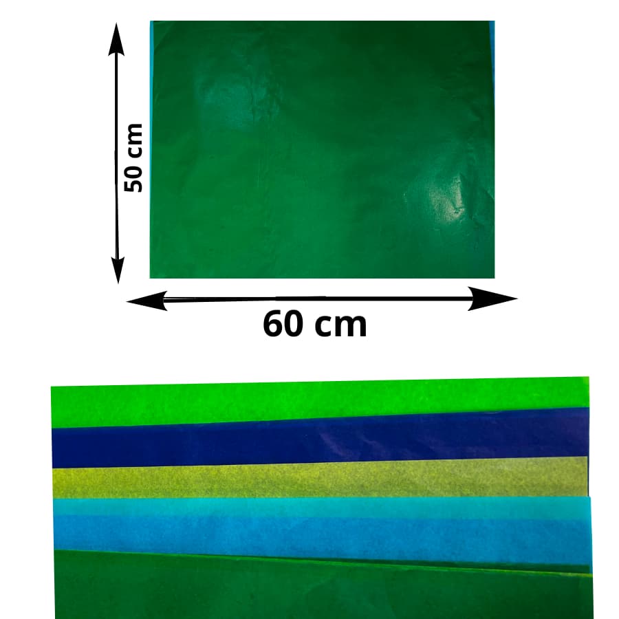 Papel Seda ARPEPEL EXCLUSIVO 50x60 LISO SORTIDO COM 5 CORES PACOTE COM 100 FOLHAS