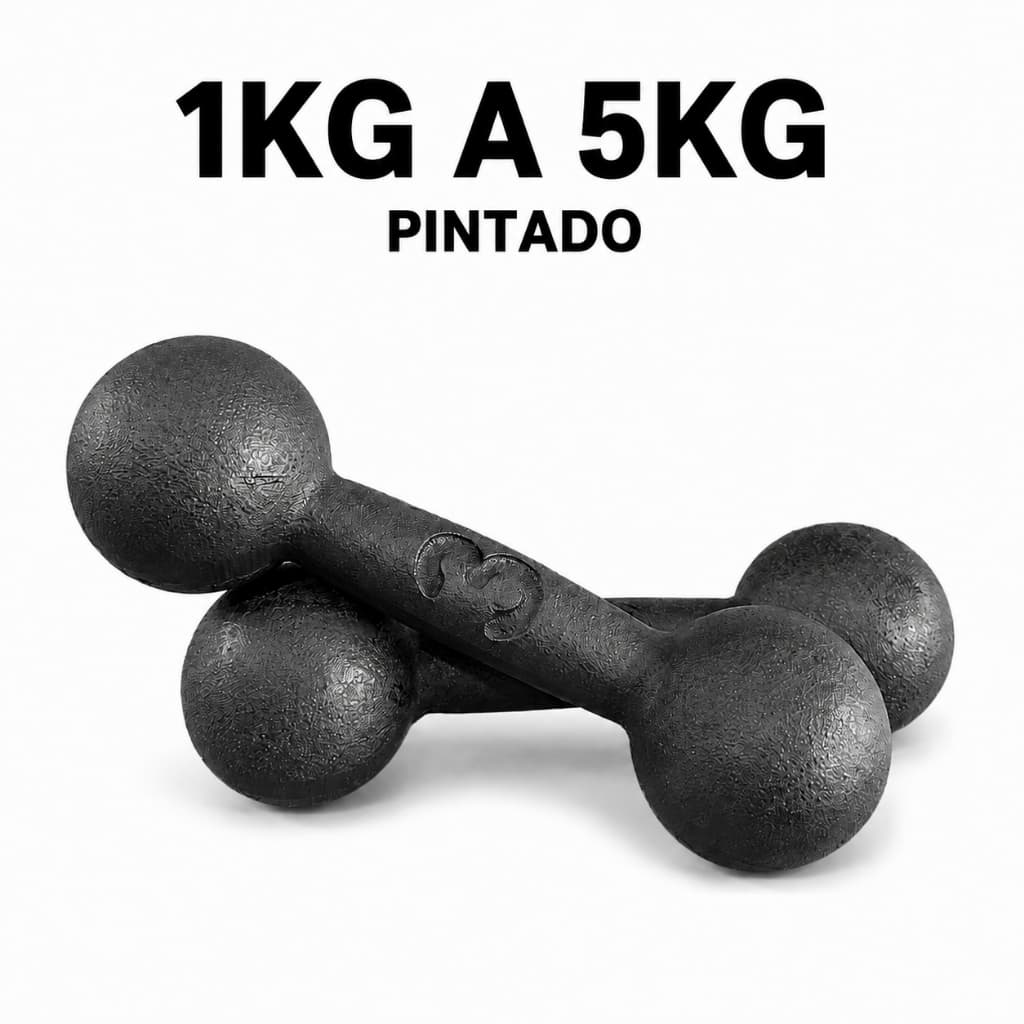 Peso Halter Bola 1kg a 5kg Pintado Treino Em Casa Academia Fisioterapia Calistenia Funcional Pilates Exercicios