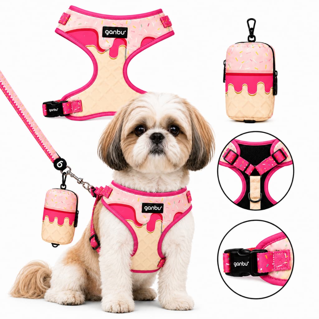 Kit Passeio Peitoral Coleira Guia Bolsa para Shih-tzu Chihuahua Tamanho P