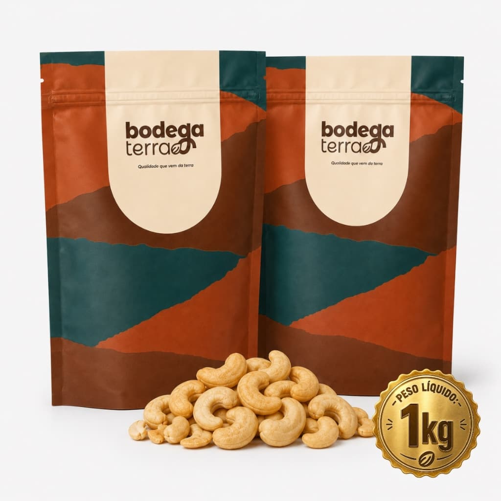 Castanha De Caju Torrada e Salgada 1Kg ou 500g Premium Sem Glúten Saco Snack Saudável Tipo W1