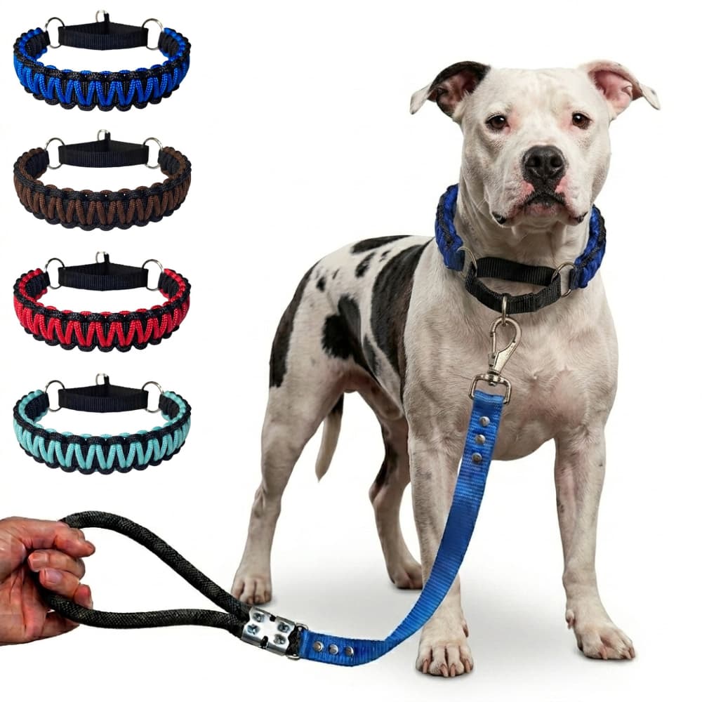Coleira ebforcador e Guia de 75cm para passeio com cachorro de médio e grande portes. Pitbull Pit Monster Americam Bully