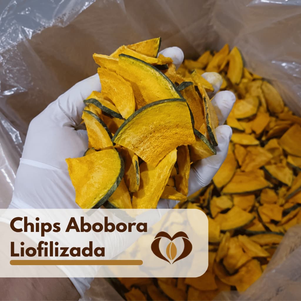 Abóbora Chips Liofilizada 500g, 250g e 100g Crocante, Natural, Saudável, Snack, Acabamento de Receitas - Mãe dos Grãos
