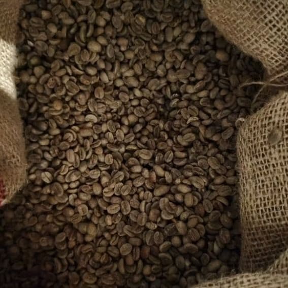 Café Verde em Grãos 1kg 100% Natural para Torra