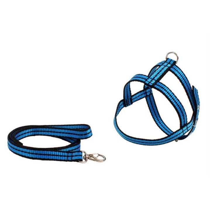 Guia Peitoral para Cães com Guia de Passeio – Coleira Peitoral Azul
