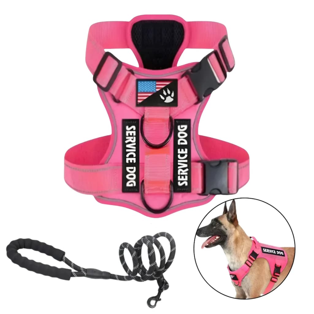 Kit 1 Coleira Peitoral Premium Pet + 1 Guia Passeio Reforçada Cão Cachorro Médio E Grande