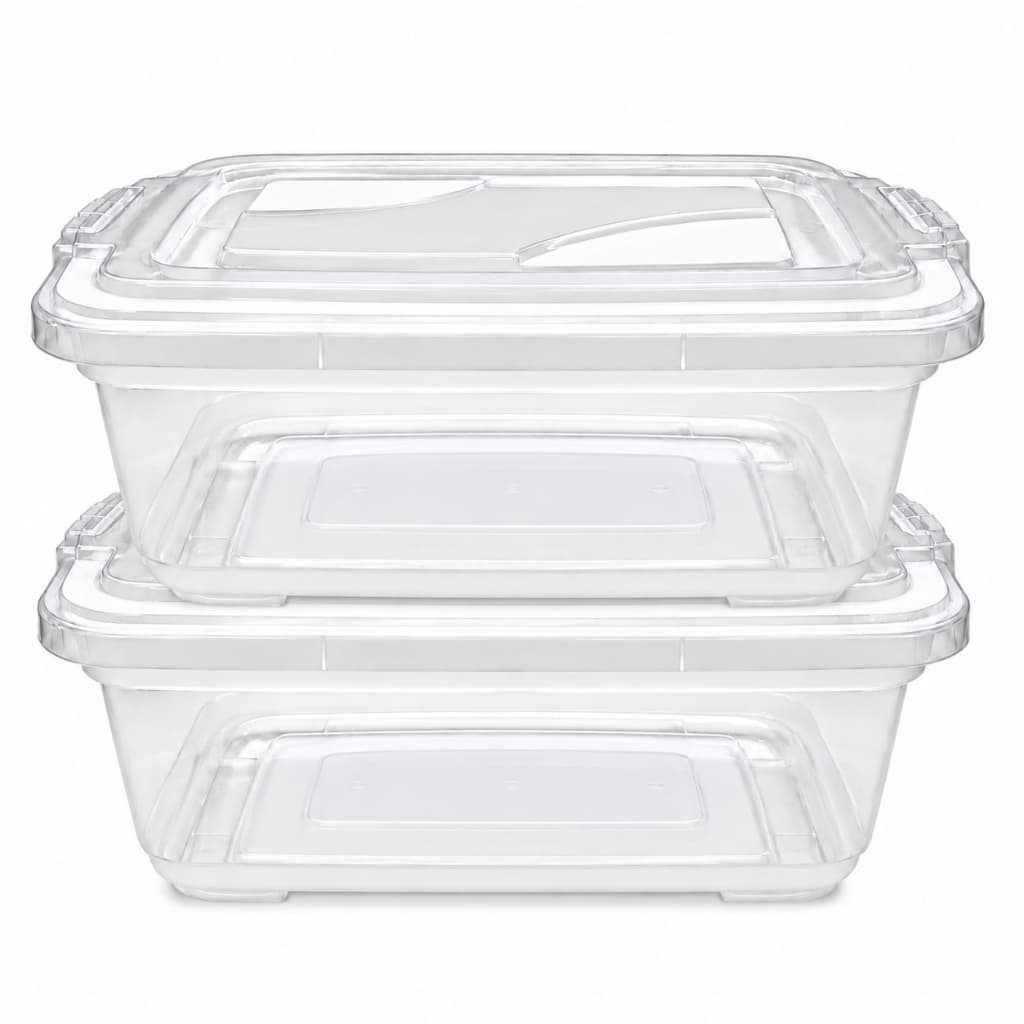 Kit 2 Caixas Organizadoras Plástico Transparente 6 Litros com Travas Multiuso Domestico Brinquedos Roupas Ferramentas