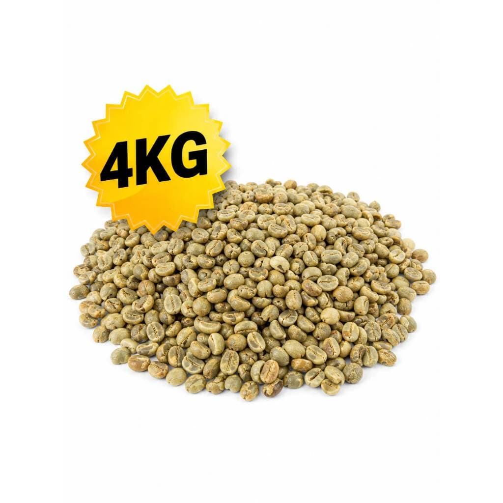 Café Em Grãos Cru 100% Arábica - 4 Kg cafe para dar torra