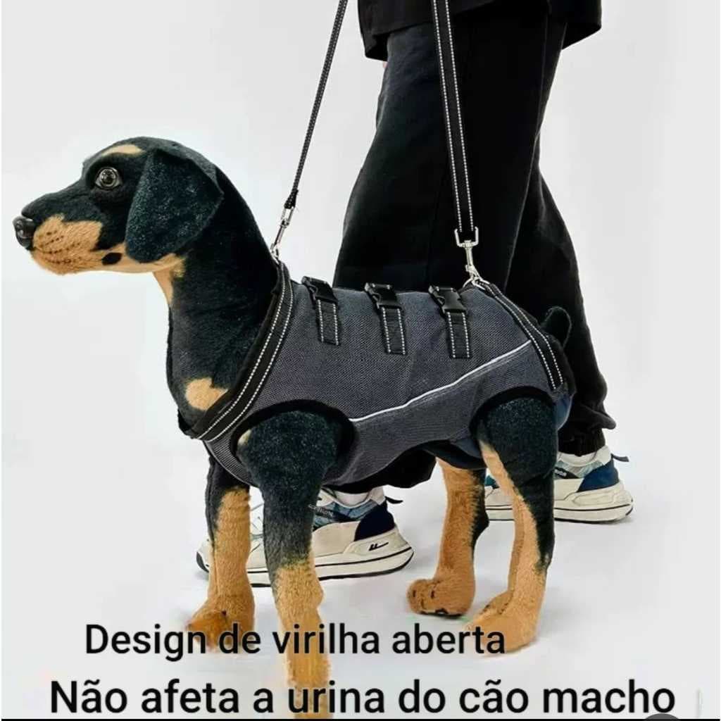 Colete Peitoral Pet Passeio Seguro com Guia Inclusa Apoio 4 patas