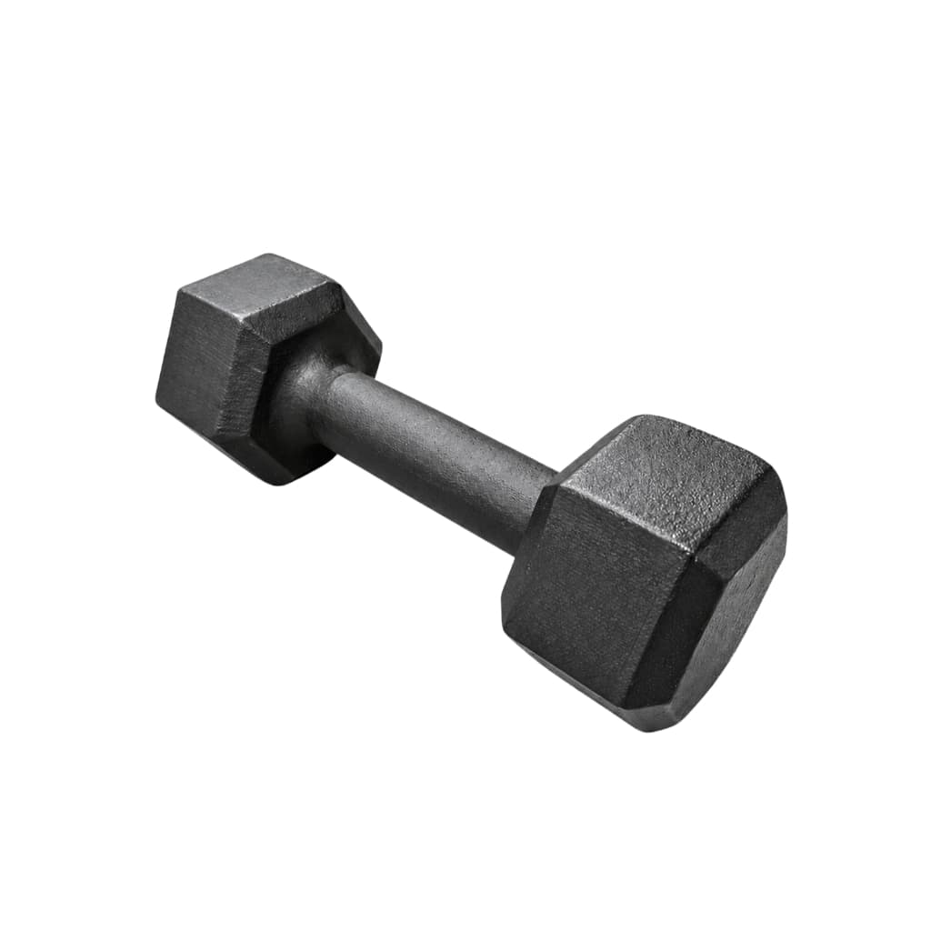 Halter Sextavado Pintado 6 a 10 Kg Unidade Treino em Casa Musculação Academia Fitness Funcional