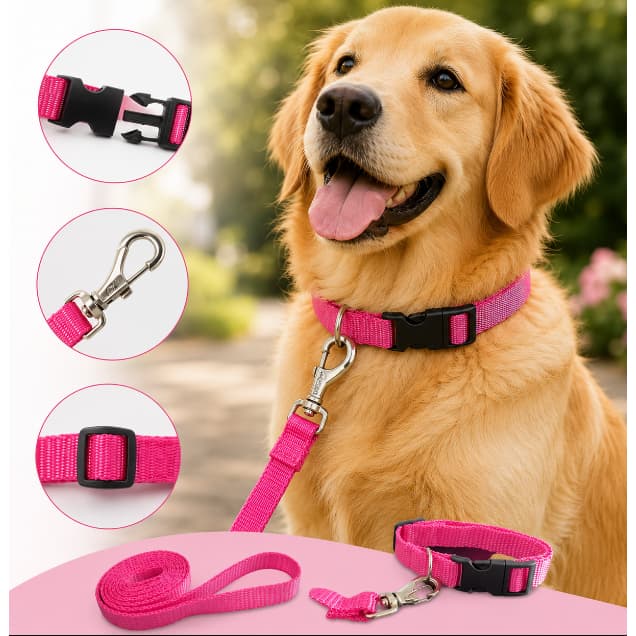 Coleira com Guia para Cachorro - P M G Regulável e Resistente
