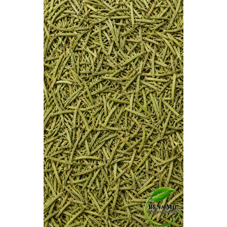 Alecrim Desidratado PREMIUM 100g/500g/1Kg - Safra Nova