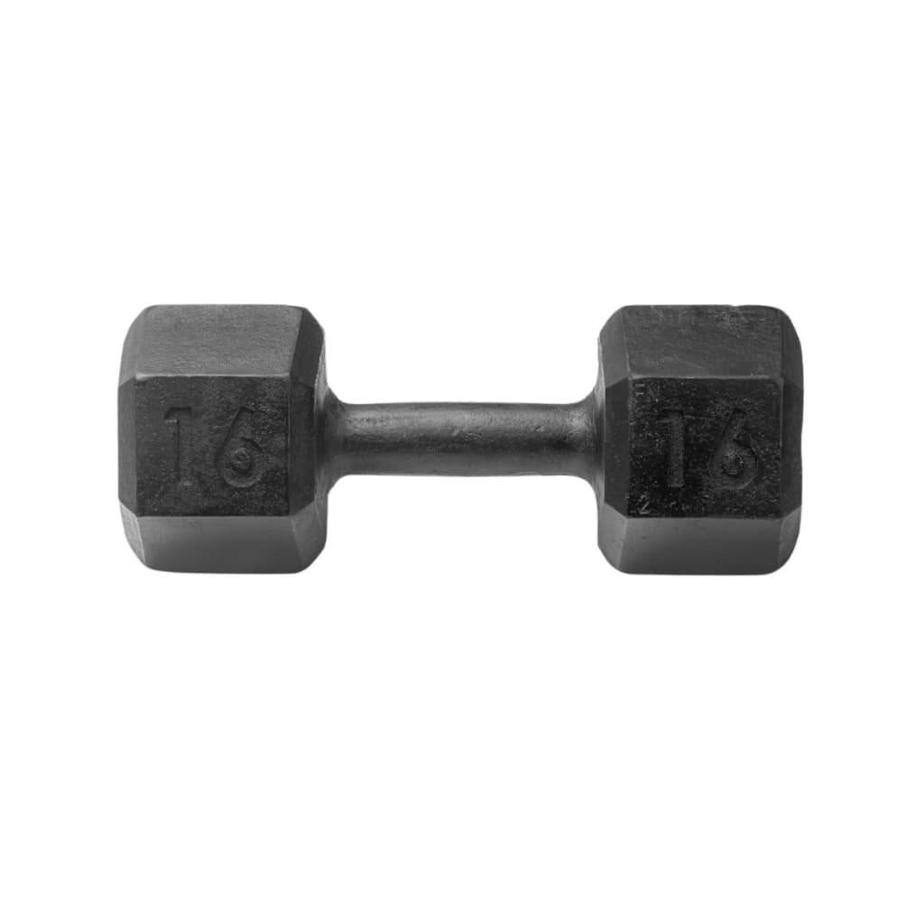 Halter Sextavado 16kg Pintado Musculação Peso Academia Musculação Casa Fitness