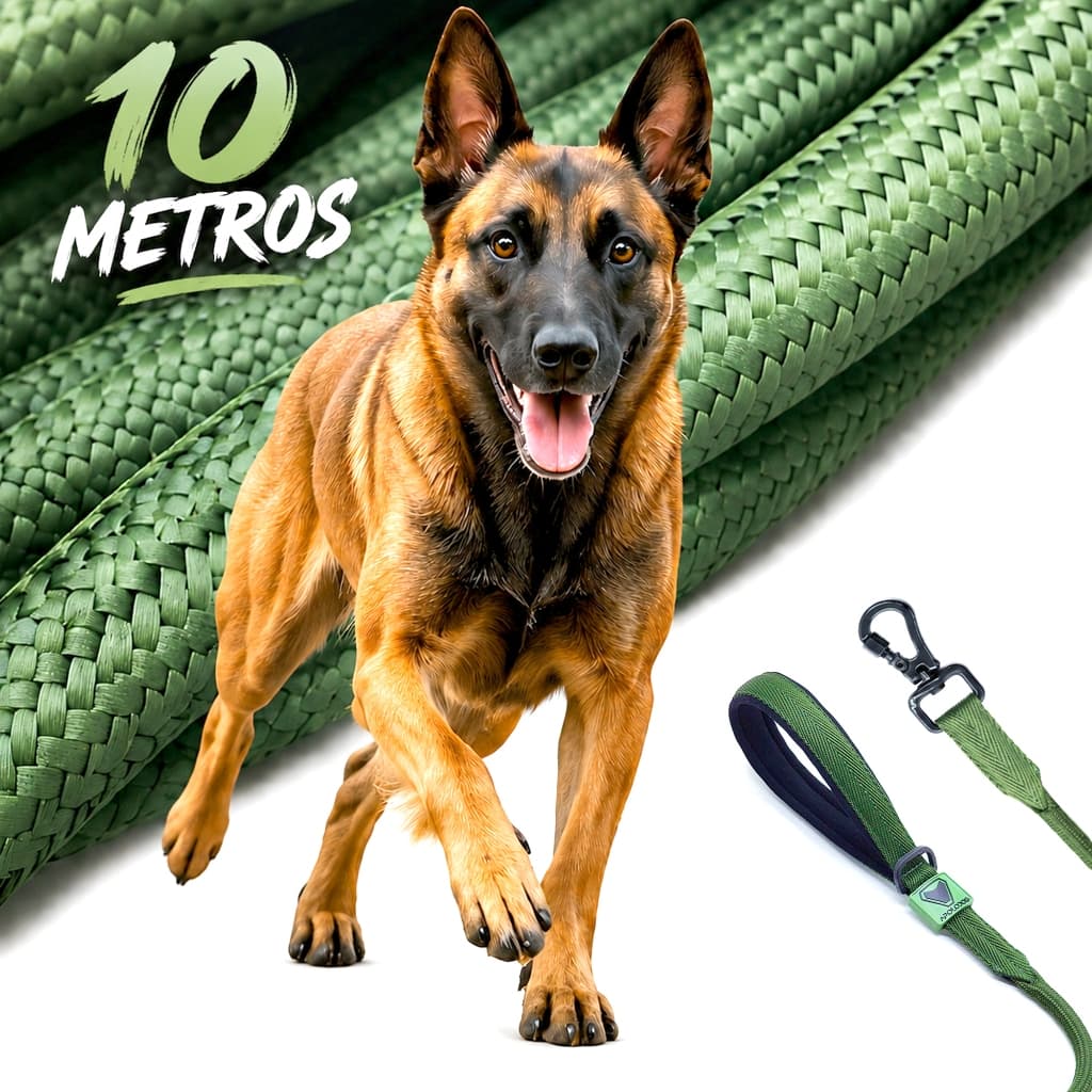 GUIA LONGA 10 METROS ADESTRAMENTO CORRER LIVRE PRAIA PARQUE TREINO DE VÍNCULO PASSEIO CORDA CACHORRO