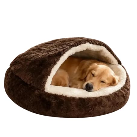 CAMINHA PET NUVEM COBERTA plush CAMA FECHADA CASINHA TOCA FORMATO DONUT COM COBERTURA REDONDA CASA