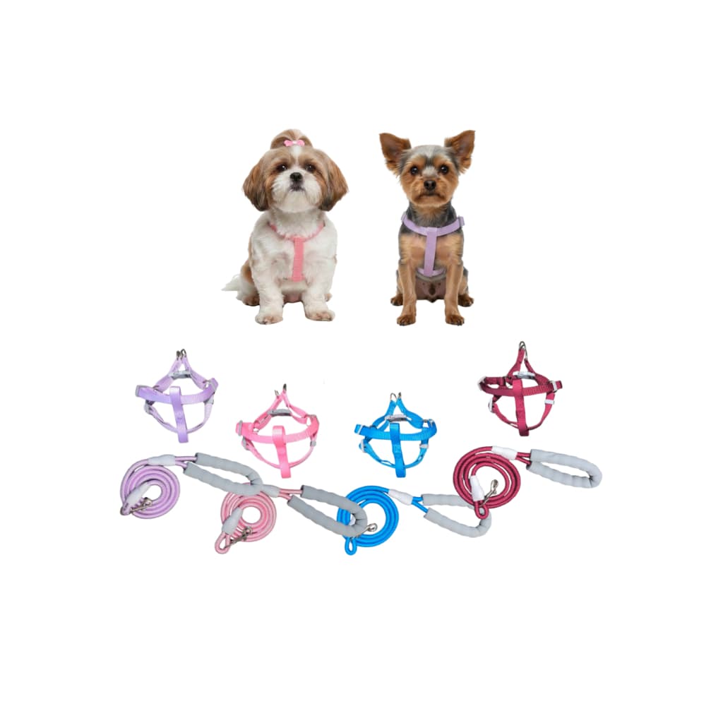 Coleira para Cachorro, Guia + Peitoral Ajustável, Pet, Reforçada, Estilo, Raças Pequenas e Médias