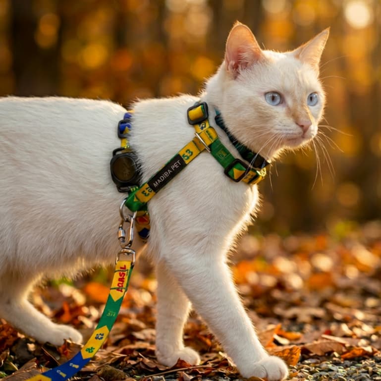 Kit Peitoral H e Guia de Passeio para Gatos - Diversos Modelos - Não solta do corpo