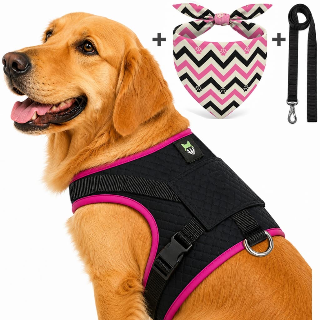 Kit Coleira Peitoral para Cachorro com Guia Reforçado Confortável para Cães Todas as Raças