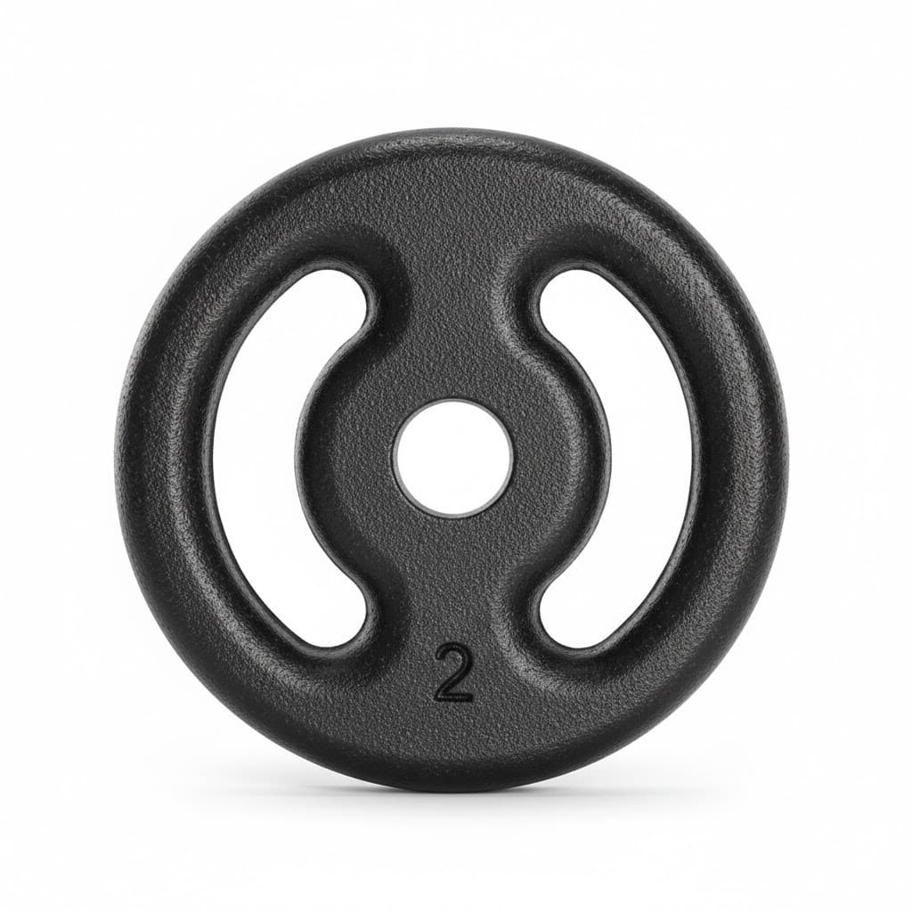Anilha Pintada 2kg Furo 31mm Peso De Academia Para Barras E Halteres Musculação Cor Preto