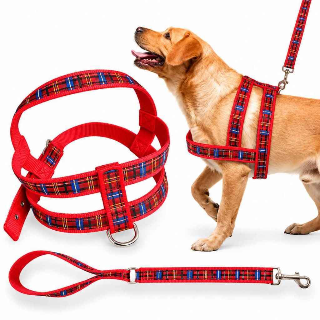 Coleira e Guia Para Cachorro Grande Kit Peitoral e Guia 30mm N.07 Conforto Dia a Dia Passeios