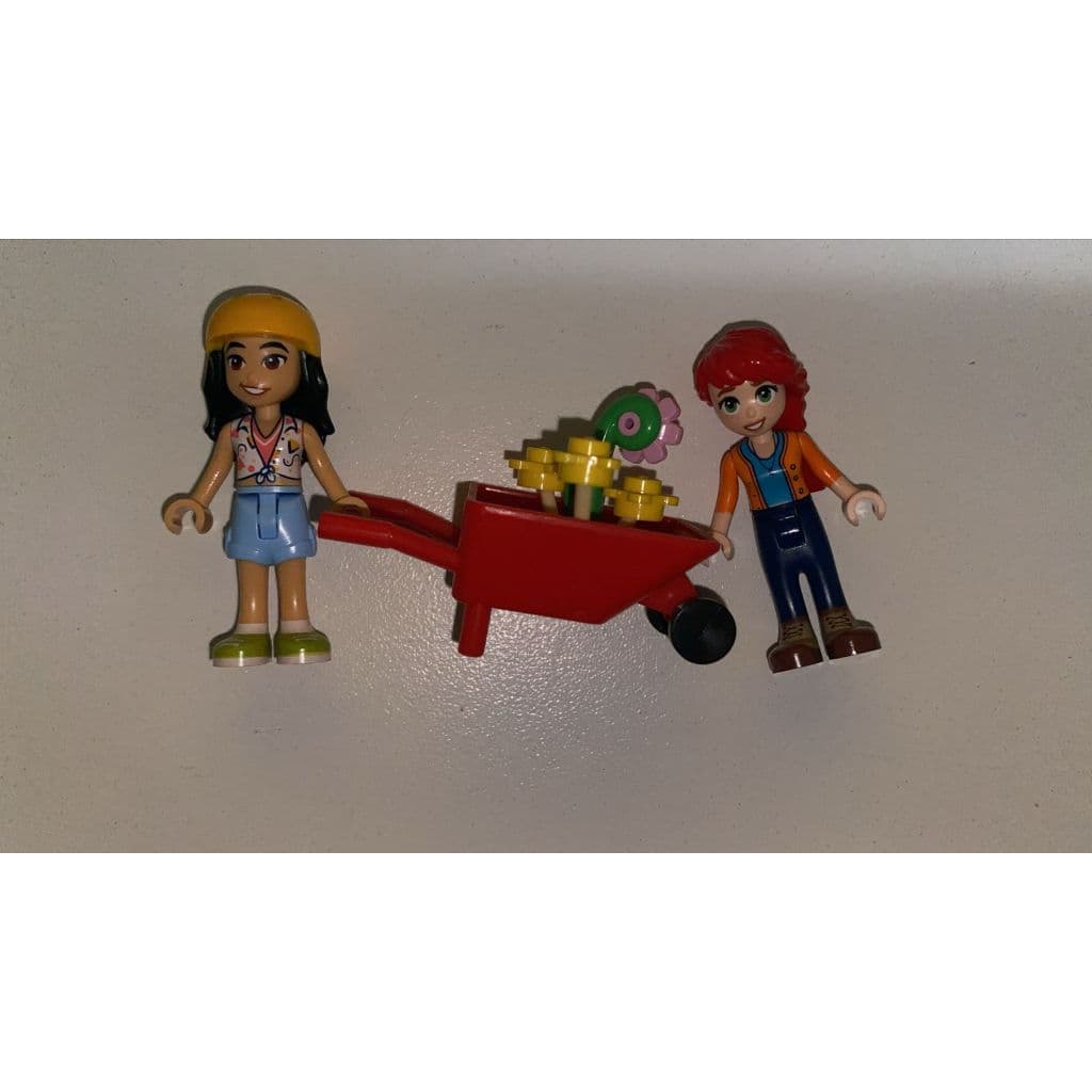 Lego Friends Lote 30 Blocos e Formas de Montar
