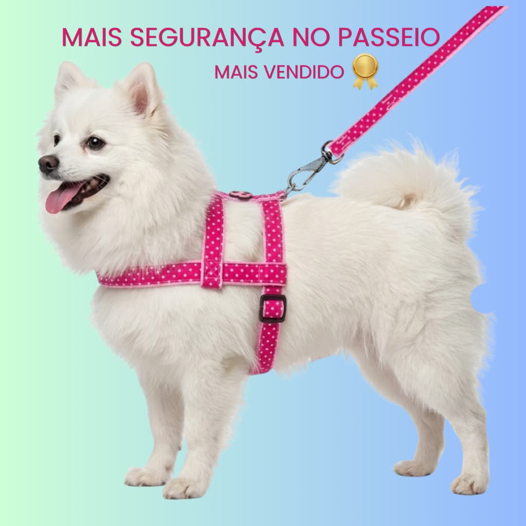 Kit Peitoral Para Cachorro Com Guia Nylon Ajustável Passeio