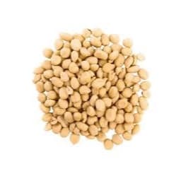 Amendoim Graúdo Cru sem Pele Granel Oleaginosa Natural Snack Saudável