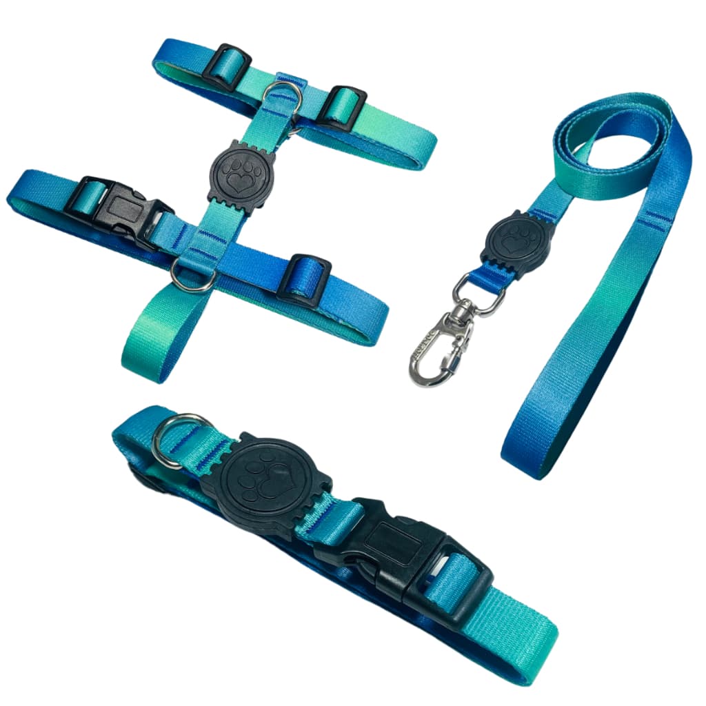 Kit Passeio Peitoral H Guia e Coleira Para Cachorros Cães Pets Azul e Verde