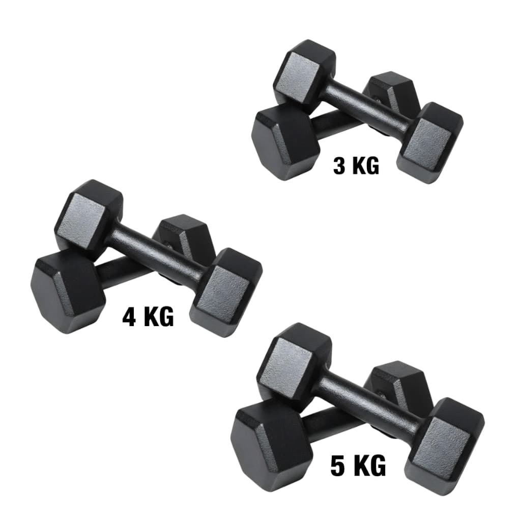Kit 3 Pares Halter Sextavado Pintado 3kg + 4kg + 5kg One Life Sports® | Treino Força e Musculação