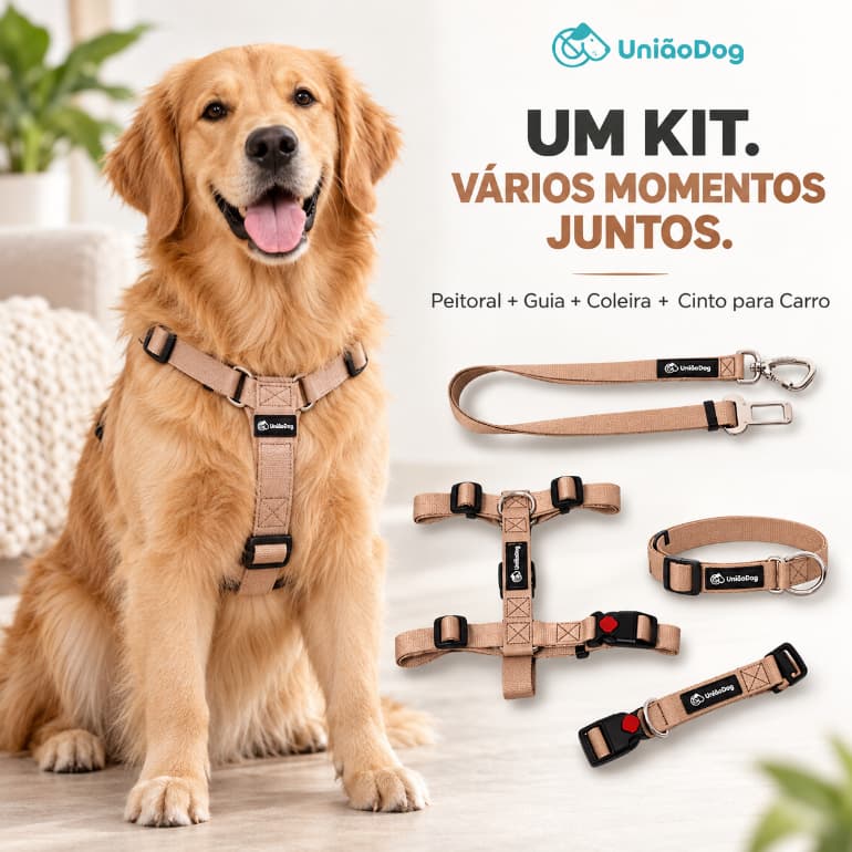 Kit Peitoral H Guia Coleira Cinto Segurança Pet Ajustável para Cachorro Passeio Carro Viagem
