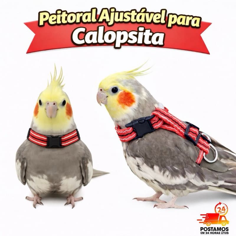 Coleira Peitoral com Guia Ajustável para Pássaros (Calopsita, Papagaio e Ring Neck) 🐤🦜