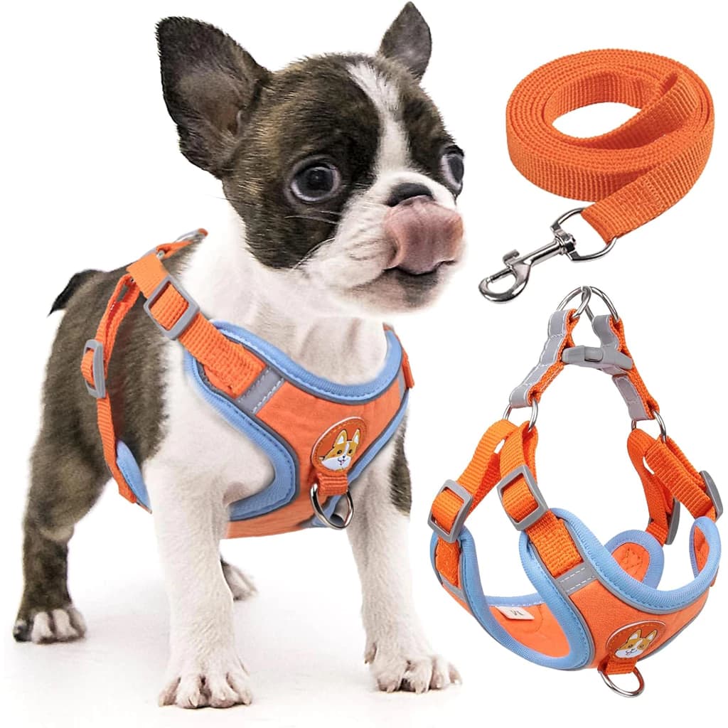 Coleira Peitoral para Pets com Guia para Pet Colete Confortável