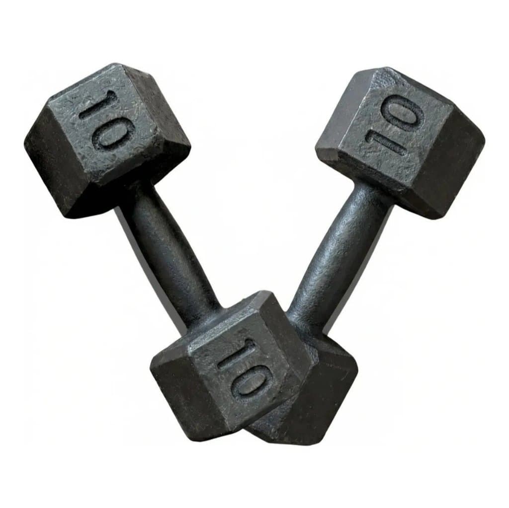 Kit de Halteres Sextavados Ferduor 20 kg para Musculação e Treino Funcional Academia Fitness Exercícios