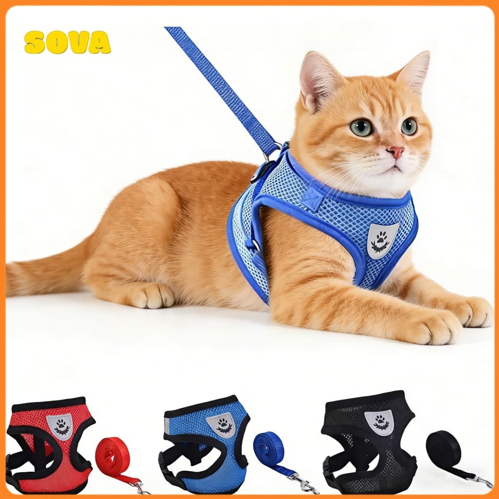 Sova Coleira Peitoral Cães E Gatos Ajustável Com Guia Colete Pet 6kg Com 120cm Cabo de Reboque