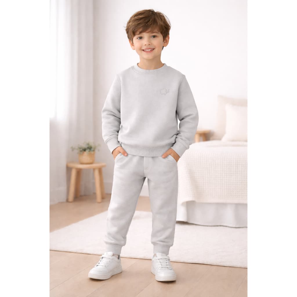 Conjunto Moletom Infantil Juvenil Cinza Peluciado 2 4 6 8 10 Agasalho de Frio Inverno Flanelado Calça Moletom