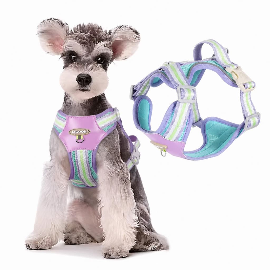 Peitoral para Cães com Guia 1,85m Refletivo Ajustável Conforto Segurança Médio Pequeno Porte