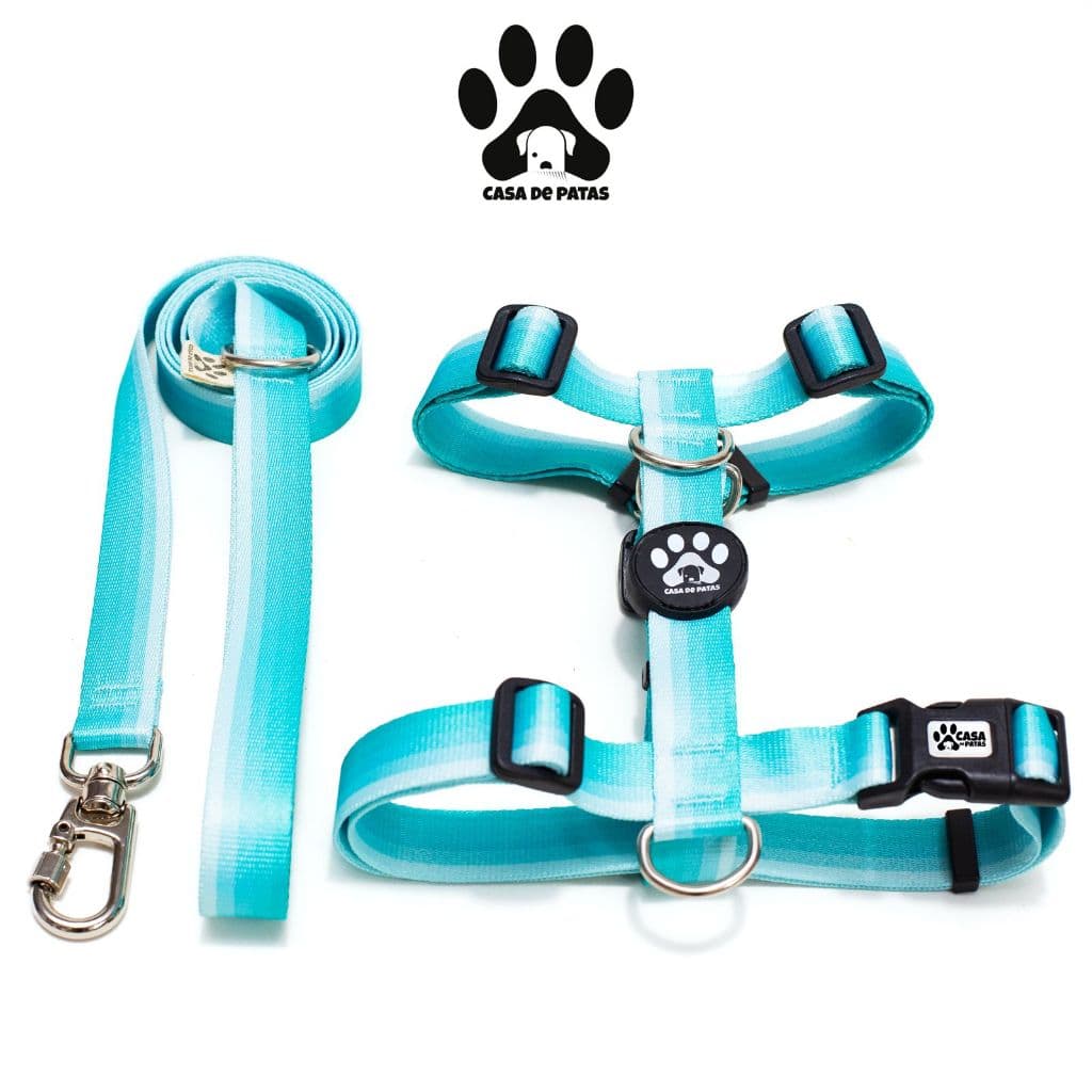Coleira Peitoral modelo H para cães regulável + Guia - Diversas Estampas