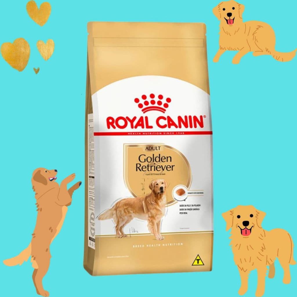 Ração Para Cachorros Raça Golden Retriever Adultos 10,1kg - Royal Canin