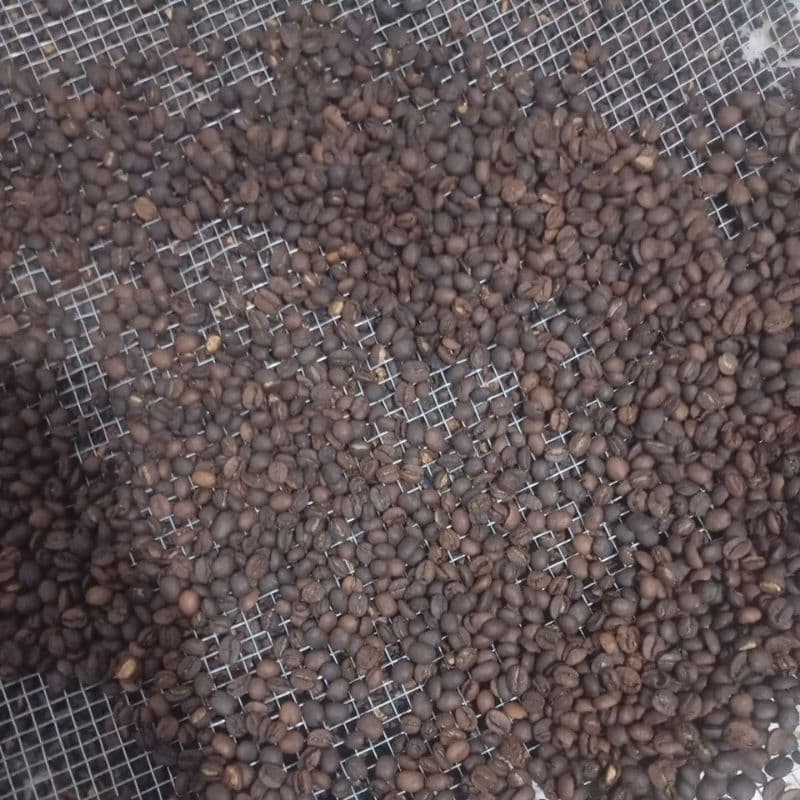 café torrado em grãos 1 kg café da marca amcafearte
