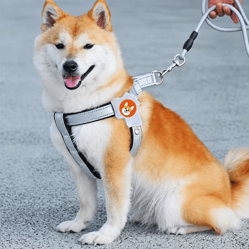Colete Peitoral para Cães com Guia 1,5m Refletivo Ajustável Conforto Segurança Passeio Pet