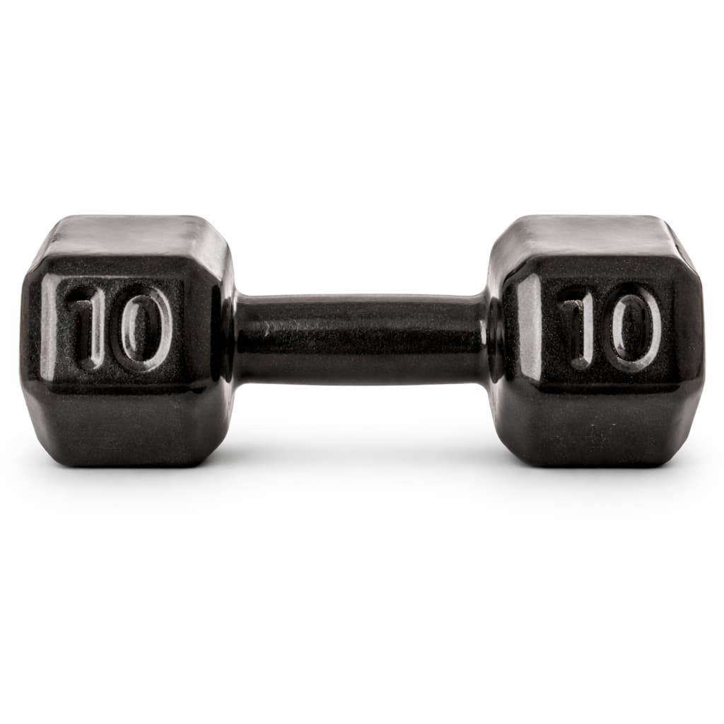 HALTER SEXTRAVADO 10KG EMBORRACHADO PESO DUMBBELL EXERCÍCIO FORÇA MUSCULAÇÃO GYM PILATES FISIOTERAPIA ACADEMIA EM CASA