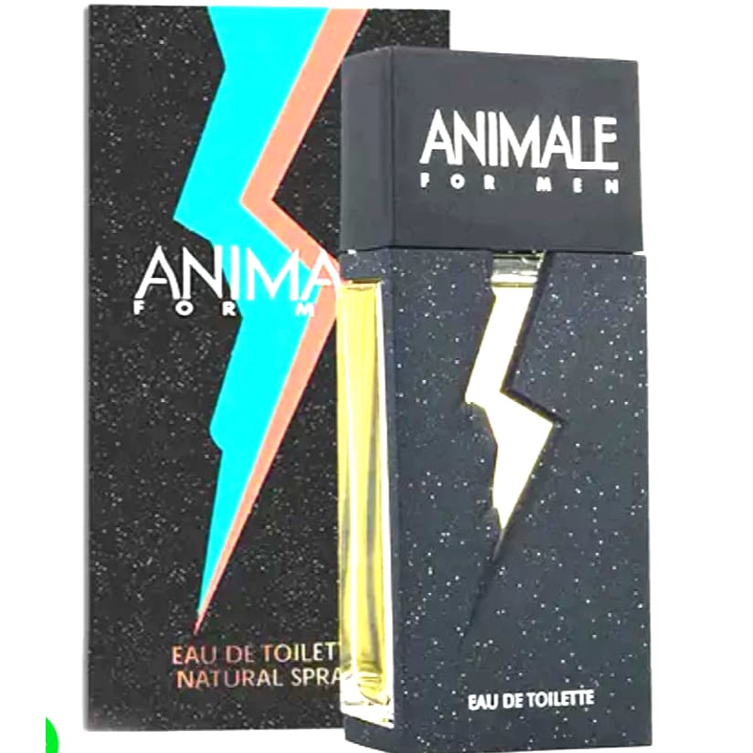 PERFUME MASCULINO IMPORTADO FRAGRÂNCIA IRRESSISTIVEL - 100Ml