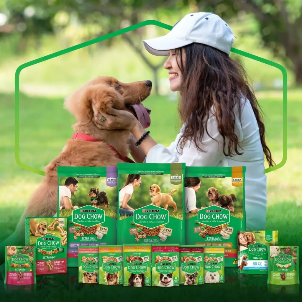 Sachê Dog Chow para Cachorro Adulto Sabor Frango 100g Ração Úmida Cães Adultos Alimento Completo
